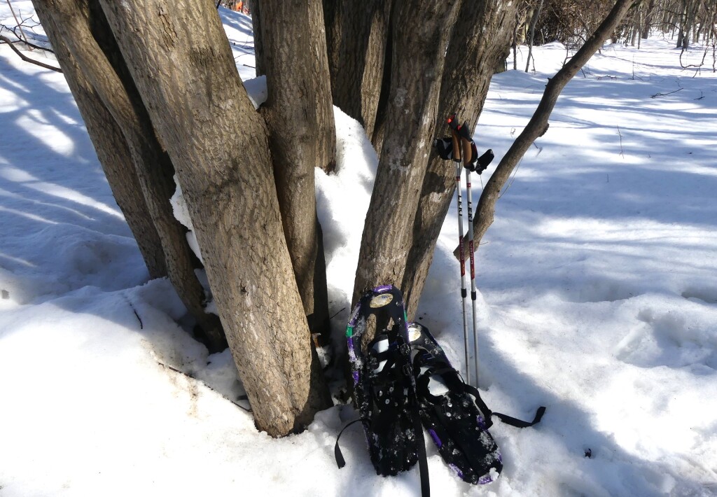 snow shoe 2