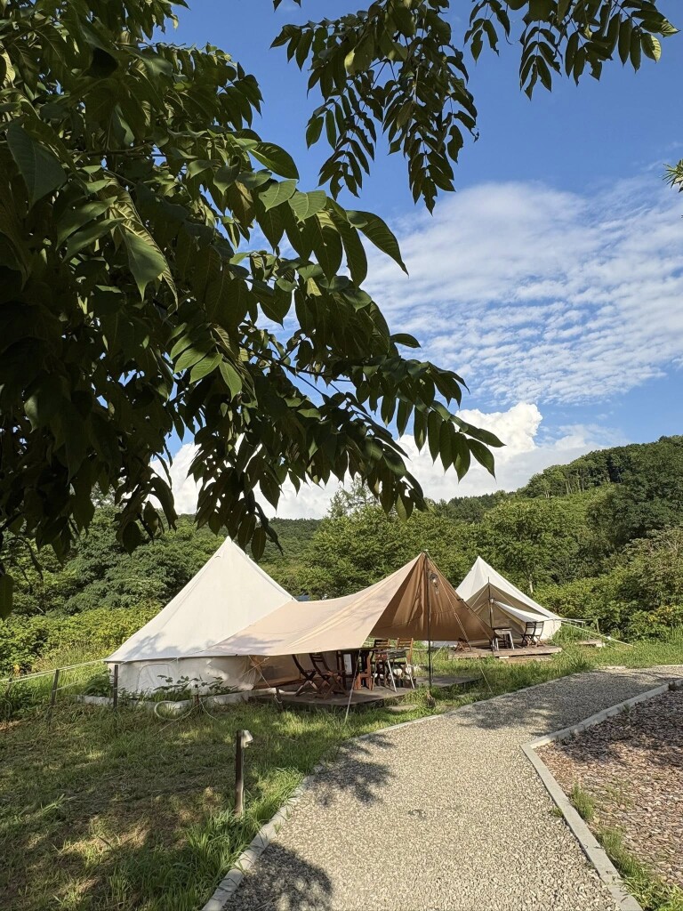 533221535_1270626158197875_3639172812837147153_n