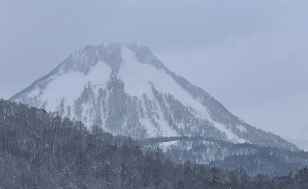 Mt koganefuji