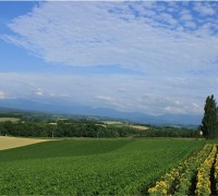 Pleasurable Farming Tours in Hokkaido