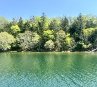 Marimo and Lake Akan, Kushiro City