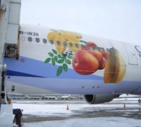 インセンティウ”ツァーで味わう困惑と安堵 インセンティウ”ツァーで味わう困惑と安堵