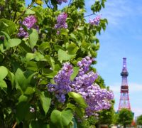 緊急事態宣言の解除にあたって